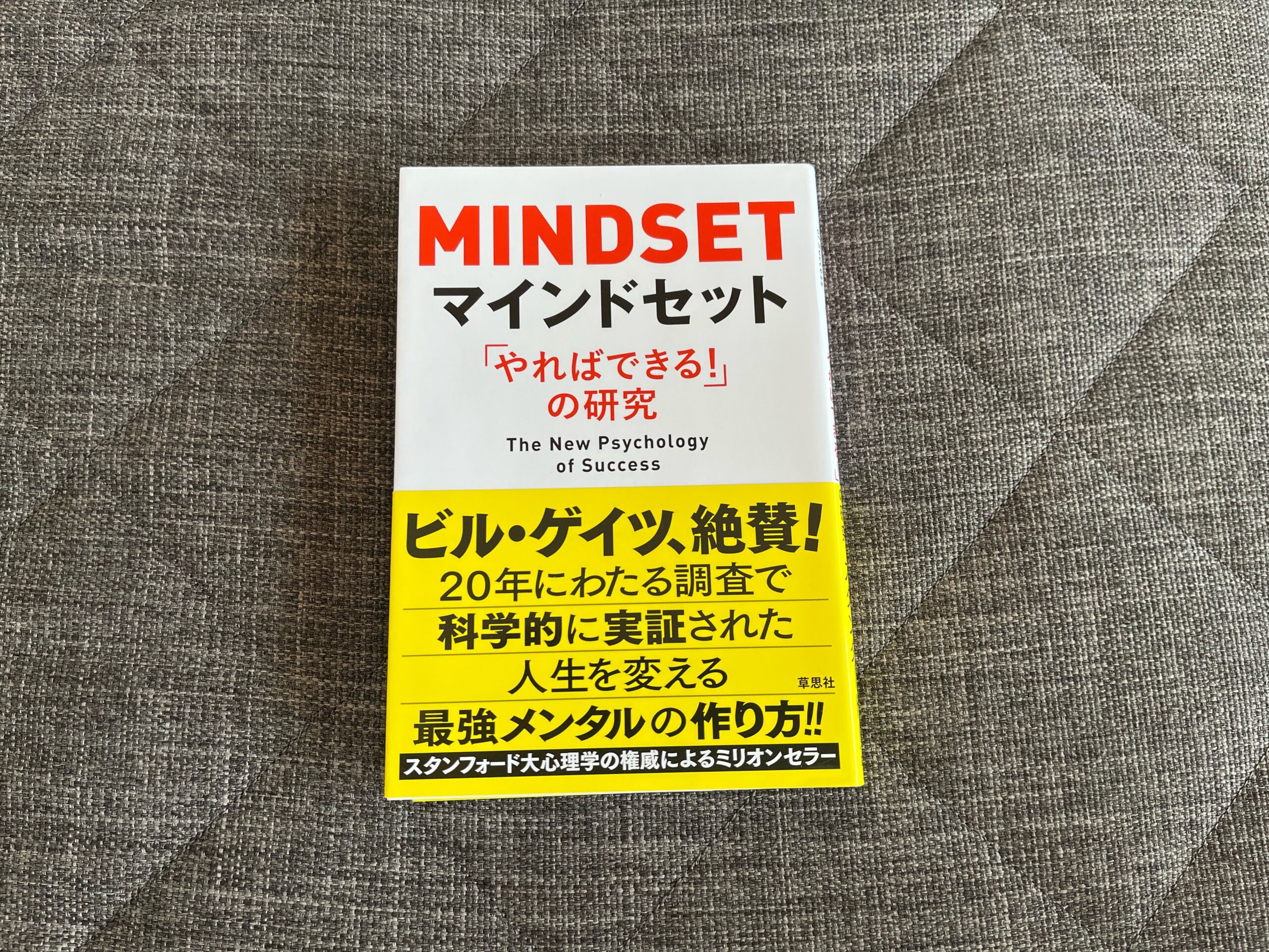 マインドセット 「やればできる！」の研究』｜合同会社ノマド＆ブランディング 大杉 潤